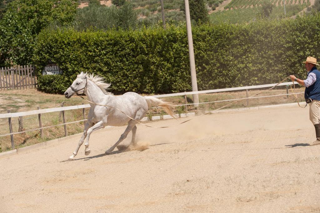 ルーフィナ ポデーレ イル ポッジオーロヴィラ エクステリア 写真